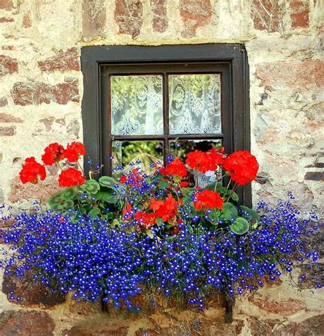 unique window flower box ideas